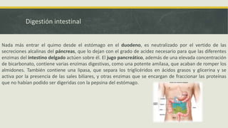 Digestión intestinal
Nada más entrar el quimo desde el estómago en el duodeno, es neutralizado por el vertido de las
secreciones alcalinas del páncreas, que lo dejan con el grado de acidez necesario para que las diferentes
enzimas del intestino delgado actúen sobre él. El jugo pancreático, además de una elevada concentración
de bicarbonato, contiene varias enzimas digestivas, como una potente amilasa, que acaban de romper los
almidones. También contiene una lipasa, que separa los triglicéridos en ácidos grasos y glicerina y se
activa por la presencia de las sales biliares, y otras enzimas que se encargan de fraccionar las proteínas
que no habían podido ser digeridas con la pepsina del estómago.
 