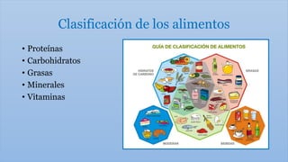 Clasificación de los alimentos
• Proteínas
• Carbohidratos
• Grasas
• Minerales
• Vitaminas
 