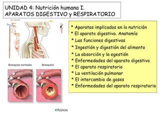 * Aparatos implicados en la nutrición * El aparato digestivo. Anatomía * Las funciones digestivas * Ingestión y digestión del alimento * La absorción y la egestión * Enfermedades del aparato digestivo * El aparato respiratorio * La ventilación pulmonar * El intercambio de gases * Enfermedades del aparato respiratorio UNIDAD 4: Nutrición humana I.  APARATOS DIGESTIVO y RESPIRATORIO 