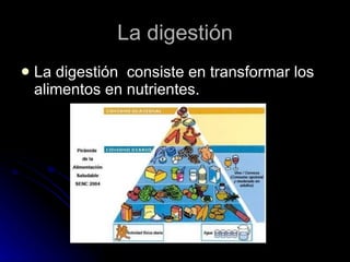 La digestión La digestión  consiste en transformar los alimentos en nutrientes. 
