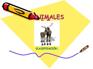 ANIMALES CLASIFICACIÓN 