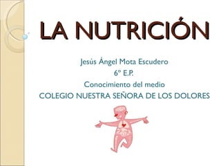LA NUTRICIÓN
         Jesús Ángel Mota Escudero
                   6º E.P.
          Conocimiento del medio
COLEGIO NUESTRA SEÑORA DE LOS DOLORES
 