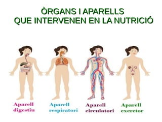 ÒRGANS I APARELLSÒRGANS I APARELLS
QUE INTERVENEN EN LA NUTRICIÓQUE INTERVENEN EN LA NUTRICIÓ
 