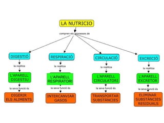 L'APARELL
RESPIRATORI
 