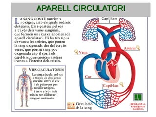 APARELL CIRCULATORIAPARELL CIRCULATORI
 