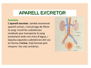 APARELL EXCRETORAPARELL EXCRETOR
 