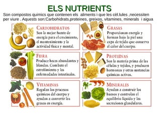 ELS NUTRIENTSELS NUTRIENTS
Son compostos quimics que contenen els aliments i que les cèl.lules ,necessiten
per viure . Aquests son:Carbohidrats,proteines, greixos, vitamines, minerals i aigua
 