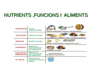 NUTRIENTS ,FUNCIONS I ALIMENTSNUTRIENTS ,FUNCIONS I ALIMENTS
 