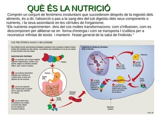Comprèn un conjunt de fenòmens involuntaris que succedeixen després de la ingestió dels
aliments, és a dir, l'absorció o pas a la sang des del tub digestiu dels seus components o
nutrients, i la seva assimilació en les cèl·lules de l'organisme.
“Els nutrients experimenten dins del cos moltes transformacions: com s'influeixen, com es
descomponen per alliberar-se en forma d'energia i com se transporta I s'utilitza per a
reconstruir infinitat de teixits i mantenir l'estat general de la salut de l'individu “
QUÈ ÉS LA NUTRICIÓQUÈ ÉS LA NUTRICIÓ
 