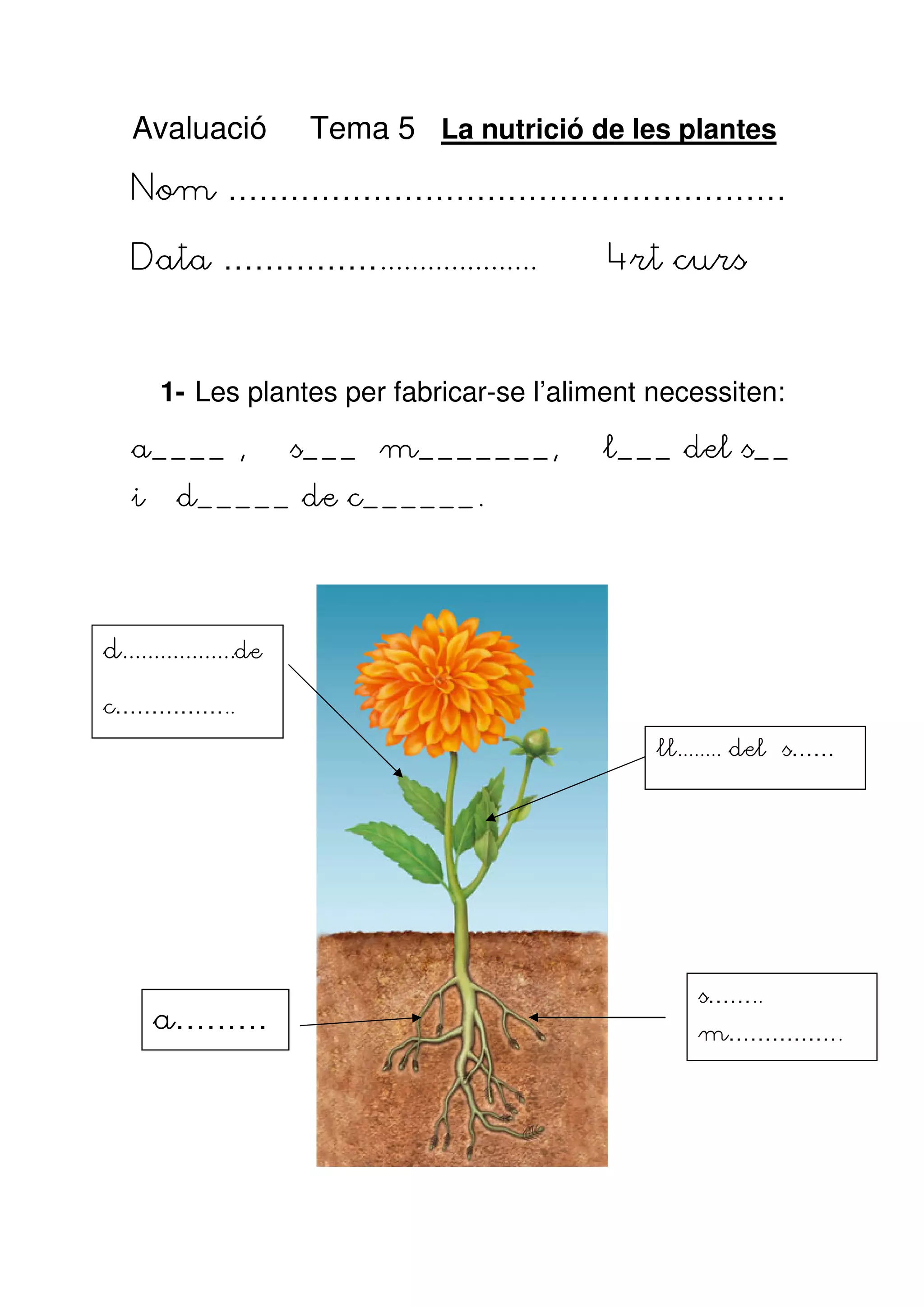 Avaluació            Tema 5 La nutrició de les plantes
   Nom ………………………………………………

   Data ……………....................            4rt curs



       1- Les plantes per fabricar-se l’aliment necessiten:

   a____ ,              s___ m_______,      l___ del s__
   i     d_____ de c______.




d..................de

c……………..
                                                ll........ del s……




                                                    s……..
       a………                                         m…………….
 