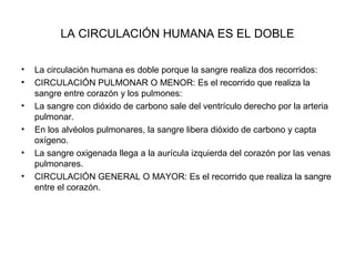 LA CIRCULACIÓN HUMANA ES EL DOBLE
•
•
•
•
•
•

La circulación humana es doble porque la sangre realiza dos recorridos:
CIRCULACIÓN PULMONAR O MENOR: Es el recorrido que realiza la
sangre entre corazón y los pulmones:
La sangre con dióxido de carbono sale del ventrículo derecho por la arteria
pulmonar.
En los alvéolos pulmonares, la sangre libera dióxido de carbono y capta
oxígeno.
La sangre oxigenada llega a la aurícula izquierda del corazón por las venas
pulmonares.
CIRCULACIÓN GENERAL O MAYOR: Es el recorrido que realiza la sangre
entre el corazón.

 