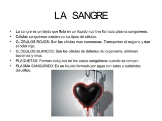 LA SANGRE
•
•
•
•
•
•

La sangre es un tejido que flota en un líquido nutritivo llamada plasma sanguíneos.
Células sanguíneas existen varios tipos de células.
GLÓBULOS ROJOS: Son las células mas numerosas. Transportan el oxigeno y dan
el color rojo.
GLÓBULOS BLANCOS: Son las células de defensa del organismo, eliminan
bacterias y virus.
PLAQUETAS: Forman coágulos en los vasos sanguíneos cuando se rompen.
PLASMA SANGUÍNEO: Es un liquido formado por agua con sales y nutrientes
disueltos.

 