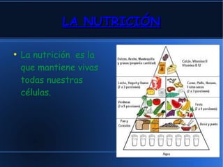 LLAA NNUUTTRRIICCIIÓÓNN 
● La nutrición es la 
que mantiene vivas 
todas nuestras 
células. 
 