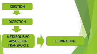 AUX. ENFERMERIA MARIA RODRIGUEZ
IGESTION
DIGESTION
METABOLISMO
ABSORCION
TRANSPORTE
ELIMINACION
 