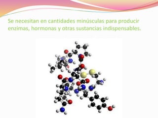 Se necesitan en cantidades minúsculas para producir
enzimas, hormonas y otras sustancias indispensables.
 
