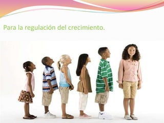 Para la regulación del crecimiento.
 