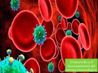 El desarrollo y el
funcionamiento del
sistema inmunológico.
 