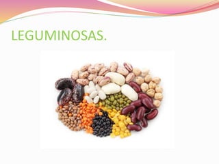 LEGUMINOSAS.
 