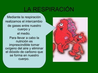 LA RESPIRACIÓN
Mediante la respiración
realizamos el intercambio
de gases entre nuestro
cuerpo y
el medio.
Para llevar a cabo la
nutrición es
imprescindible tomar
oxígeno del aire y eliminar
el dióxido de carbono que
se forma en nuestro
cuerpo.
 