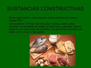SUSTANCIAS CONSTRUCTIVAS
• Sirven para crecer y para reponer zonas dañadas de nuestro
cuerpo. Son:
- Las proteínas. Forman: los músculos, huesos, pelos, uñas.
Abundan en alimentos de origen animal (carne, pescado, leche y
huevos) y en casi todas las semillas y los alimentos derivados de
éstas, como el pan y las pastas.
 