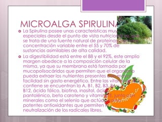 MICROALGA SPIRULINA
   La Spirulina posee unas características muy
    especiales desde el punto de vista nutricional ya que
    se trata de una fuente natural de proteínas, con una
    concentración variable entre el 55 y 70% de
    sustancias asimilables de alta calidad.
   La digestibilidad está entre el 88 y el 92%, este amplio
    margen obedece a la composición celular de la
    misma, ya que su membrana está formada por
    mucopolisacáridos que permiten que el organismo
    pueda extraer los nutrientes presentes con mayor
    facilidad sin gasto energético. Entre las vitaminas que
    contiene se encuentran la A, B1, B2, B3, B6 y
    B12, ácido fólico, biotina, inositol, ácido
    pantolénico, beta caroteno y vitamina E, junto con
    minerales como el selenio que actúan como
    potentes antioxidantes que permiten la
    neutralización de los radicales libres.
 
