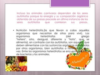 Incluso los animales carnívoros dependen de los seres
   autótrofos porque la energía y su composición orgánica
   obtenida de sus presas procede en última instancia de los
   seres    autótrofos   que     comieron     sus    presas.


• Nutrición heterótrofa,(la que llevan a cabo aquellos
  organismos que necesitan de otros para vivir). Los
  organismos           heterótrofos         (del        griego
  "hetero", otro, desigual, diferente y "trofo", que se
  alimenta), en contraste con los autótrofos, son aquellos que
  deben alimentarse con las sustancias orgánicas sintetizadas
  por otros organismos, bien autótrofos o heterótrofos a su
  vez. Entre los organismos heterótrofos se encuentra multitud
  de bacterias y los animales.
 