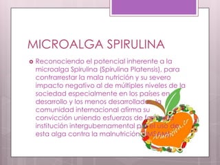 MICROALGA SPIRULINA
   Reconociendo el potencial inherente a la
    microalga Spirulina (Spirulina Platensis), para
    contrarrestar la mala nutrición y su severo
    impacto negativo al de múltiples niveles de la
    sociedad especialmente en los países en
    desarrollo y los menos desarrollados, la
    comunidad internacional afirma su
    convicción uniendo esfuerzos de formar la
    institución intergubernamental por el uso de
    esta alga contra la malnutrición (IIMSAM).
 