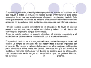 El aparato digestivo es el encargado de preparar las sustancias nutritivas para
que lleguen a todas las células de nuestro cuerpo (NUTRICIÓN), pero estas
sustancias tienen que ser repartidas por el aparato circulatorio y también éste
tiene que retirar las sustancias de desecho producidas en la combustión de los
alimentos en las células; esas sustancias son venenos que interesa expulsar.

También nuestro aparato circulatorio es el encargado de llevar el oxígeno
recogido en los pulmones a todas las células y volver con el dióxido de
carbono para expulsarlo porque es venenoso.
Como se puede deducir, el aparato digestivo, el aparato respiratorio y el
excretor están estrechamente relacionados con el aparato circulatorio.

El aparato circulatorio es el encargado del transporté de la sangre a través del
cuerpo. La sangre es un líquido rojo que recorre todo el cuerpo impulsada por
el corazón. Ella recoge el oxígeno de los pulmones y los nutrientes del intestino
para distribuirlos entre todas las células. Después de que se produce la
 oxidación, retira los deshechos y el dióxido de carbonó para su eliminación.
Los componentes de la sangre son los glóbulos rojos, los glóbulos blancos,
las plaquetas               y              el             plasma.
 