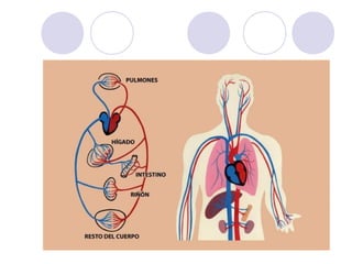 La nutricion david_martin