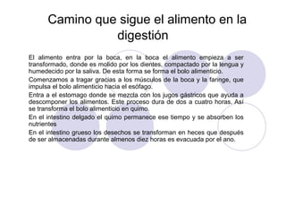 Camino que sigue el alimento en la
                digestión
El alimento entra por la boca, en la boca el alimento empieza a ser
transformado, donde es molido por los dientes, compactado por la lengua y
humedecido por la saliva. De esta forma se forma el bolo alimenticio.
Comenzamos a tragar gracias a los músculos de la boca y la faringe, que
impulsa el bolo alimenticio hacia el esófago.
Entra a el estomago donde se mezcla con los jugos gástricos que ayuda a
descomponer los alimentos. Este proceso dura de dos a cuatro horas. Así
se transforma el bolo alimenticio en quimo.
En el intestino delgado el quimo permanece ese tiempo y se absorben los
nutrientes
En el intestino grueso los desechos se transforman en heces que después
de ser almacenadas durante almenos diez horas es evacuada por el ano.
 