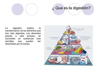 ¿ Que es la digestión?




La      digestión     implica     la
transformación de los alimentos que
han sido digeridos. Los alimentos
gracias a este proceso, se
convierten en sustancias mas
sencillas    que     pueden      ser
absorbidas por el cuerpo.
 