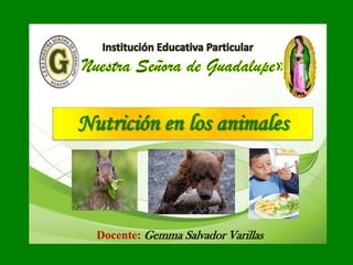 Docente: Gemma Salvador Varillas
Nutrición en los animales
 