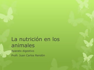 La nutrición en los
animales
Aparato digestivo
Profr. Juan Carlos Rendón
 