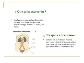 ¿ Que es la excreción ?

   Es el proceso que realiza el aparato
    excretor, mediante este proceso
    nuestro cuerpo elimina la orina y las
    heces.



                                       ¿ Por que es necesario?
                                           Por que sin la excreción nuestro
                                            cuerpo no eliminaría las sustancia de
                                            desecho y eso nos causaría un grave
                                            problema al no poder eliminarlas.
 