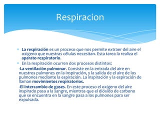 Respiracion


  La respiración es un proceso que nos permite extraer del aire el
  oxigeno que nuestras células necesitan. Esta tarea la realiza el
  aparato respiratorio.
  En la respiración ocurren dos procesos distintos:
-La ventilación pulmonar. Consiste en la entrada del aire en
nuestros pulmones en la inspiración, y la salida de el aire de los
pulmones mediante la espiración. La inspiración y la espiración de
llaman movimientos respiratorios.
-El intercambio de gases. En este proceso el oxigeno del aire
inspirado pasa a la sangre, mientras que el dióxido de carbono
que se encuentra en la sangre pasa a los pulmones para ser
expulsada.
 