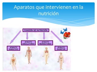 Aparatos que intervienen en la
          nutrición
 