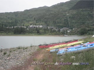 Me dan ganas de alquilar una canoa.
 