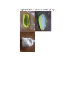 4. Luego con cuidado se remueve la plastilina y la hoja.
 