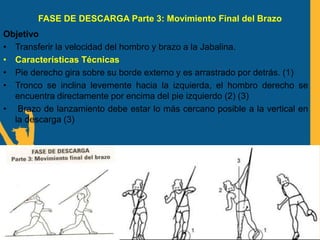 FASE DE DESCARGA Parte 3: Movimiento Final del Brazo
Objetivo
• Transferir la velocidad del hombro y brazo a la Jabalina.
• Características Técnicas
• Pie derecho gira sobre su borde externo y es arrastrado por detrás. (1)
• Tronco se inclina levemente hacia la izquierda, el hombro derecho se
encuentra directamente por encima del pie izquierdo (2) (3)
• Brazo de lanzamiento debe estar lo más cercano posible a la vertical en
la descarga (3)
 