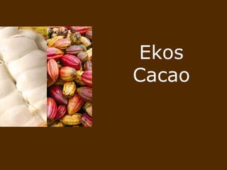 Ekos Cacao 