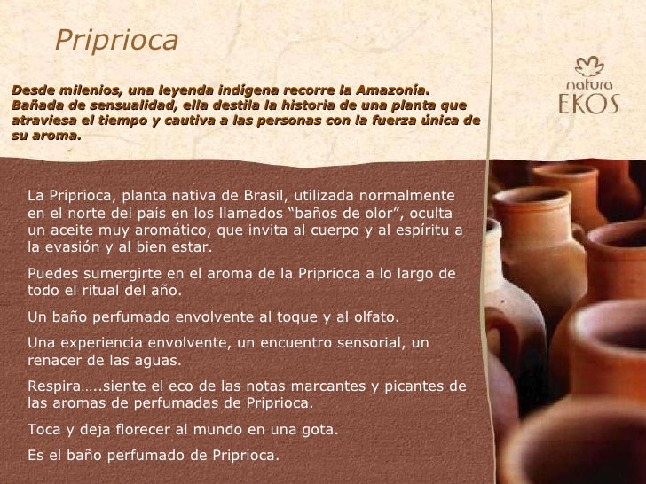 Lanzamiento Priprioca Lanzamiento Priprioca