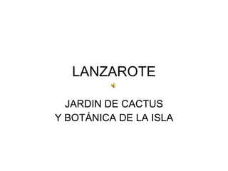 LANZAROTE JARDIN DE CACTUS Y BOTÁNICA DE LA ISLA 