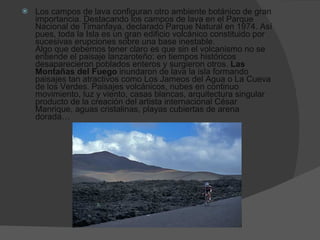 Los campos de lava configuran otro ambiente botánico de gran importancia. Destacando los campos de lava en el Parque Nacional de Timanfaya, declarado Parque Natural en 1974. Así pues, toda la Isla es un gran edificio volcánico constituido por sucesivas erupciones sobre una base inestable.  Algo que debemos tener claro es que sin el volcanismo no se entiende el paisaje lanzaroteño: en tiempos históricos desaparecieron poblados enteros y surgieron otros.  Las Montañas del Fuego  inundaron de lava la isla formando paisajes tan atractivos como Los Jameos del Agua o La Cueva de los Verdes. Paisajes volcánicos, nubes en continuo movimiento, luz y viento, casas blancas, arquitectura singular producto de la creación del artista internacional César Manrique, aguas cristalinas, playas cubiertas de arena dorada…  