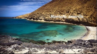Montaña amarilla
 