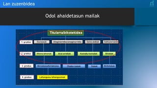 Odol ahaidetasun mailak
Lan zuzenbidea
 