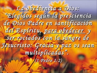 La obediencia a Dios: “Elegidos según la presciencia de Dios Padre en santificación del Espíritu, para obedecer y ser rociados con la sangre de Jesucristo: Gracia y paz os sean multiplicadas”. (1 Pedro 1:2)