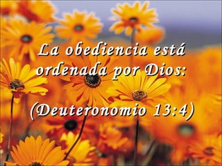La obediencia está ordenada por Dios: (Deuteronomio 13:4)