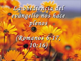 La obediencia del evangelio nos hace plenos (Romanos 6:17, 10:16)