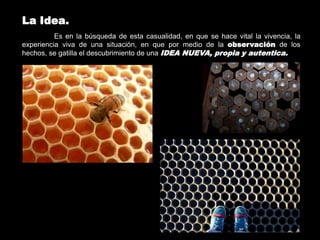 La Idea.
          Es en la búsqueda de esta casualidad, en que se hace vital la vivencia, la
experiencia viva de una situación, en que por medio de la observación de los
hechos, se gatilla el descubrimiento de una IDEA NUEVA, propia y autentica.
 