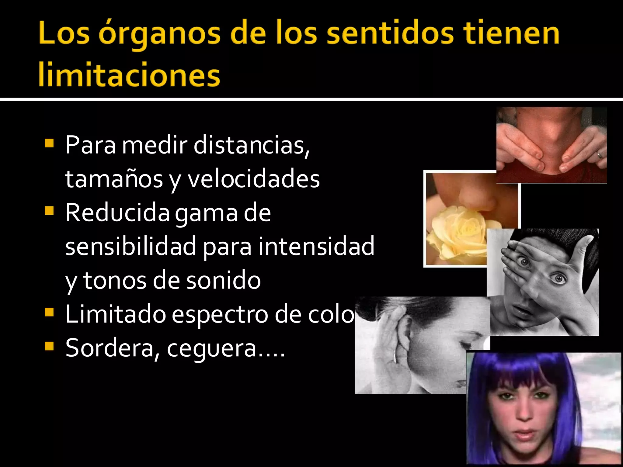 Para medir distancias, tamaños y velocidades Reducida gama de sensibilidad para intensidad y tonos de sonido Limitado espectro de colores Sordera, ceguera…. 